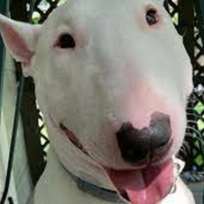 Timeline: The Old kingdom