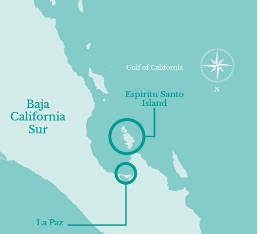 Espiritu Santo Island and Torres Strait