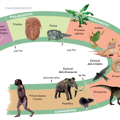 Timeline: EONS GEOLÒGICS PAULA