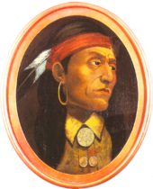 Fin de la révolte de Pontiac