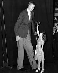 Tallest man ever