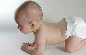 ¿Que és el procés embrionari?