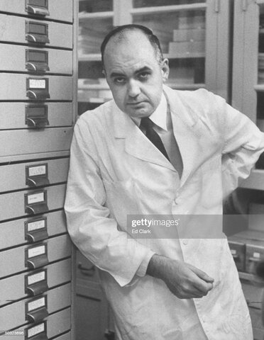 Antiparotidítica de virus vivos atenuados.