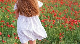 Timeline: Línea 2 Como Hija