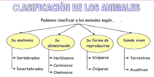 Clasificación de los animales