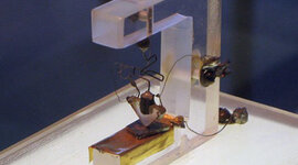 Timeline: “The Transistor Through the Decades”