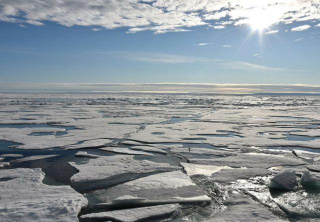 Presentar planes para disminuir la temperatura