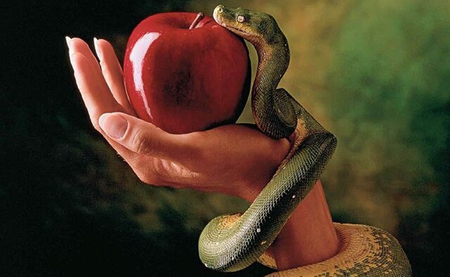 Agustín peca al robar