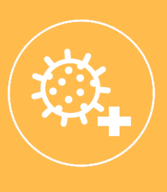 DECRETO N° 455 APERTURA PARCIAL DE FRONTERA