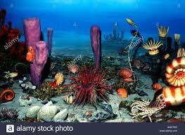 Era Mesoproterozoica