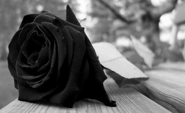 Dos adios en un año