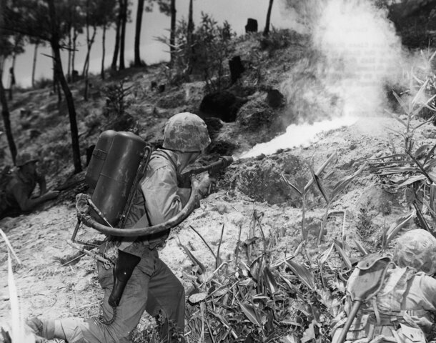 Battle of Okinawa (1945)