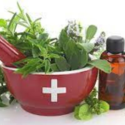 Timeline: Historia de la Farmacognosia (2000-2020)