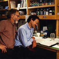 Se descubre el primer oncogén.