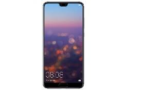 CELULAR MARIA ALEJANDRA TRIANA 803