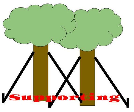 Instructions for Use