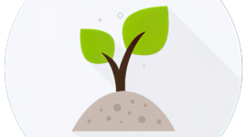 Timeline: Las políticas y normas ambientales desarrolladas en México