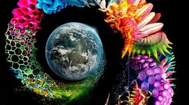 Timeline: TIMELINE DEL TIEMPO GEOLÓGICO