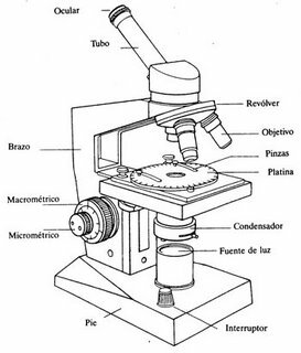 El microscopi compost