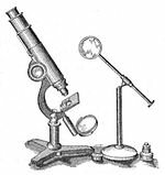 EL MICROSCOPI COMPOST