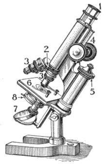 EL MICROSCOPI COMPOST