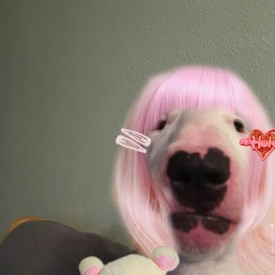 Timeline: Historie 10. klasse