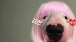 Timeline: Historie 10. klasse