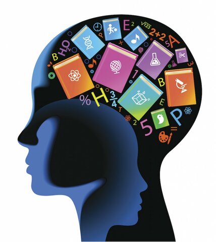 Le Big Bang des Synapses