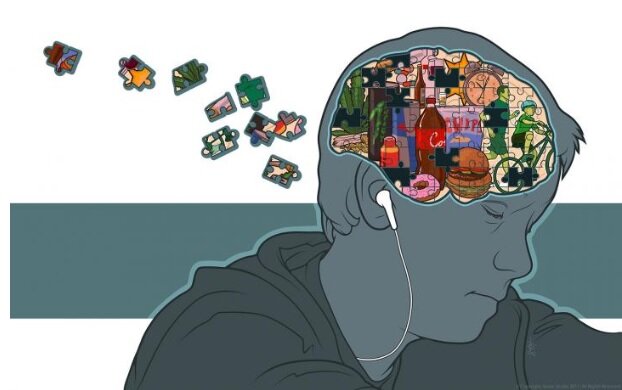 L'influx Nerveux Passe à Haut Débit