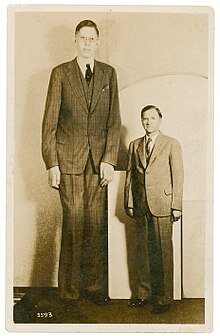 Tallest man ever