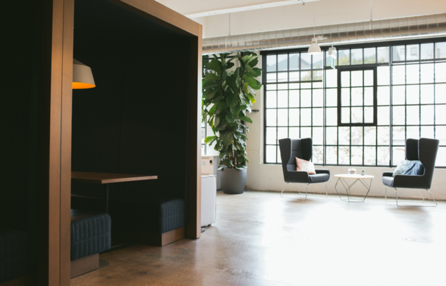 Management Consultant