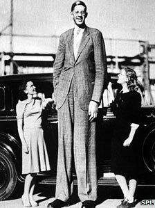 Tallest man ever