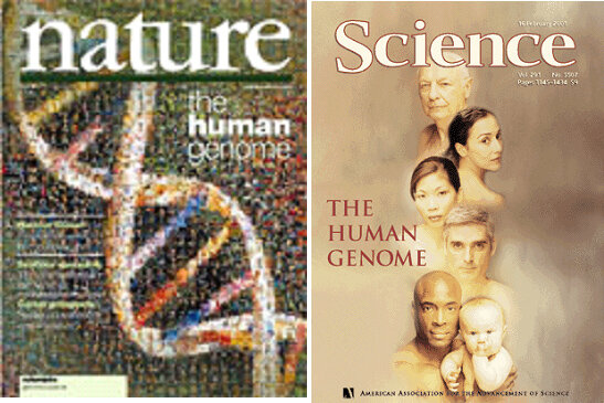 Publicación en revistas cientifícas