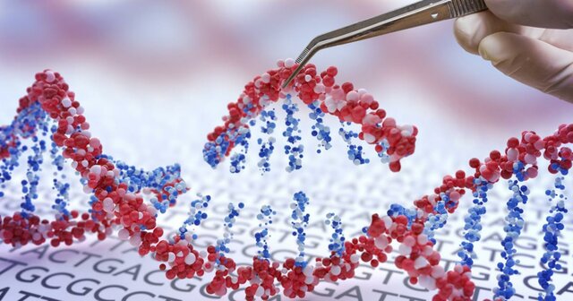 Primer borrador genoma del humano