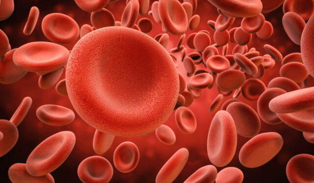 El descobriment de la sang