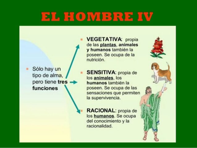 Pensamiento de Aristóteles