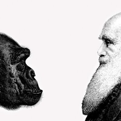 Timeline: Desarrollo del pensamiento evolutivo