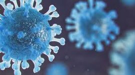 Timeline: Biología molecular y sus hitos