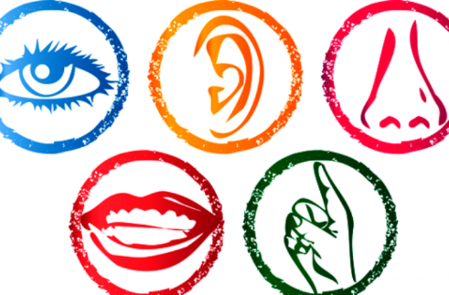 Miller, concibe que la posibilidad de las sensaciones fue la prueba de que la psicología podría algún día convertirse en ciencia