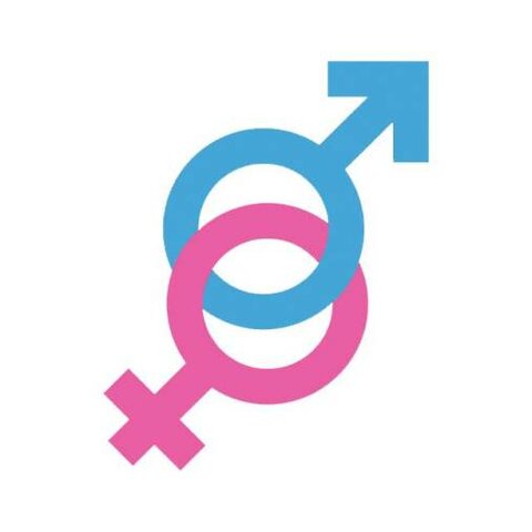 Se propicia el concepto sobre el sexo