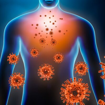 Timeline: PREMIOS NOBEL DE INMUNOLOGÍA 2000-2020