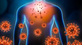 Timeline: PREMIOS NOBEL DE INMUNOLOGÍA 2000-2020