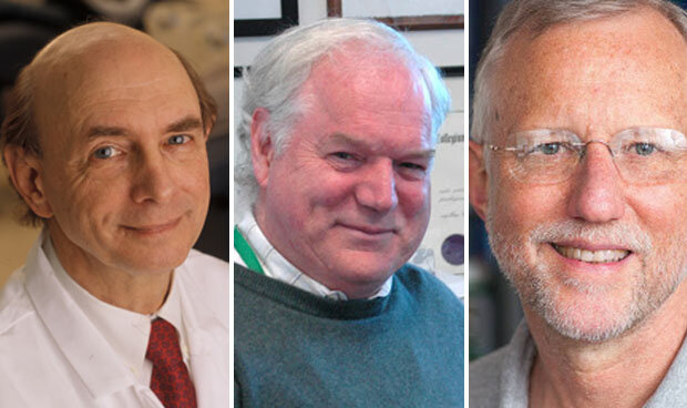 Harvey J. Alter, Michael Houghton, Charles M. Rice