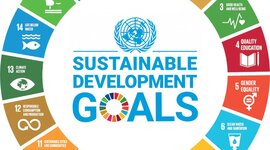 Timeline: Brevi cenni storici