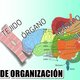 Imagen niveles de organización del cuerpo humano