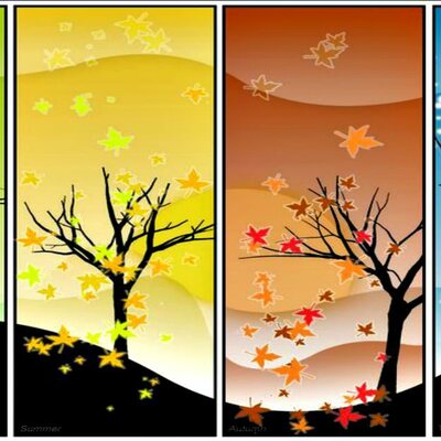 Timeline: Le stagioni 1