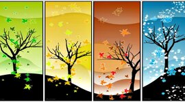 Timeline: Le stagioni 1