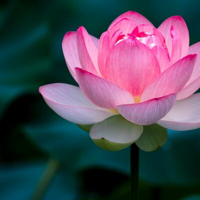 Timeline: LE STAGIONI