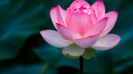 Timeline: LE STAGIONI