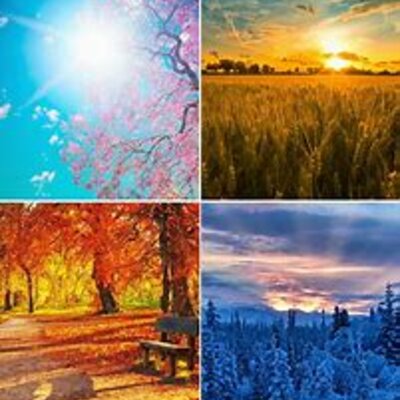 Timeline: le stagioni